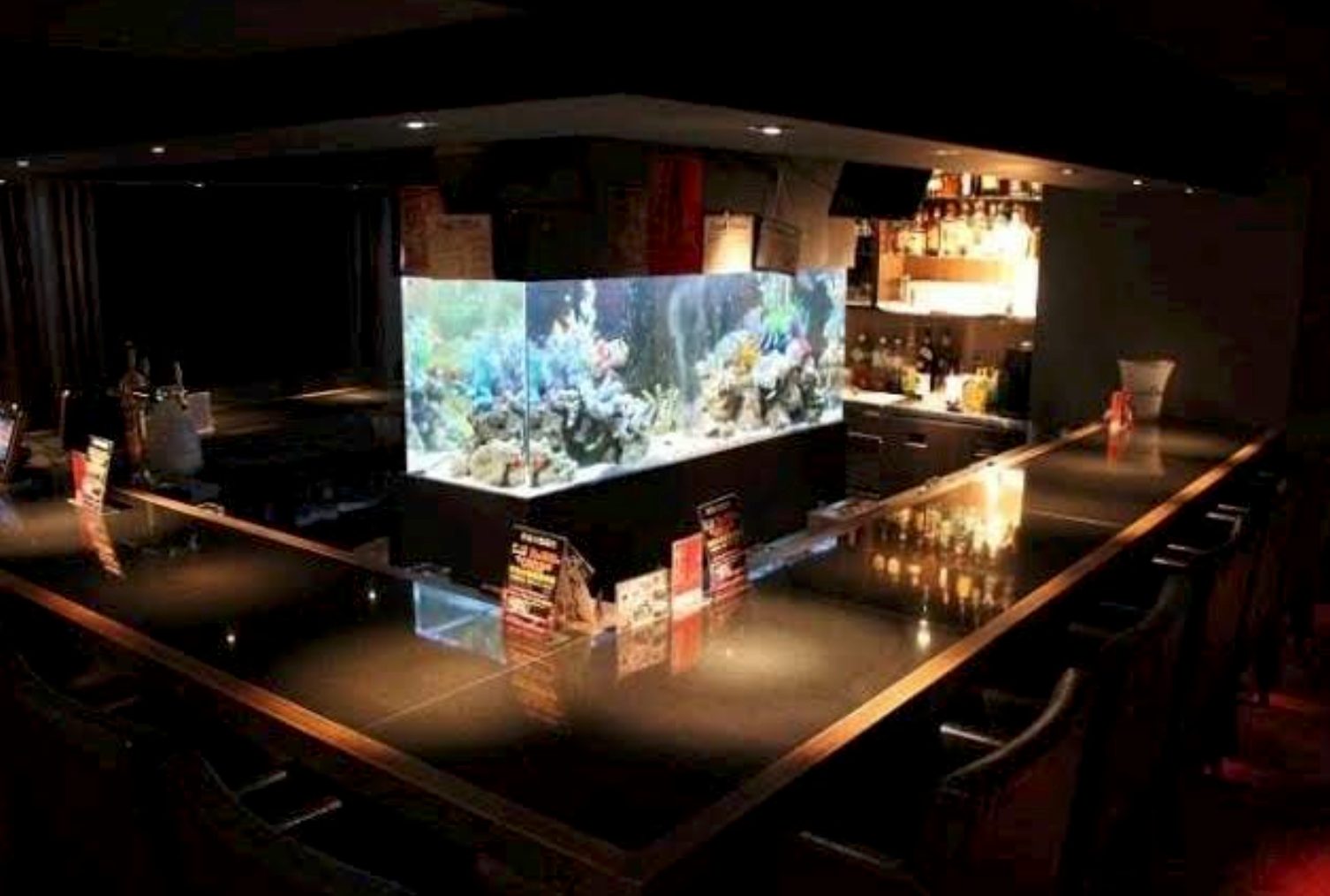 歌舞伎町ガールズバー アズ 店内写真